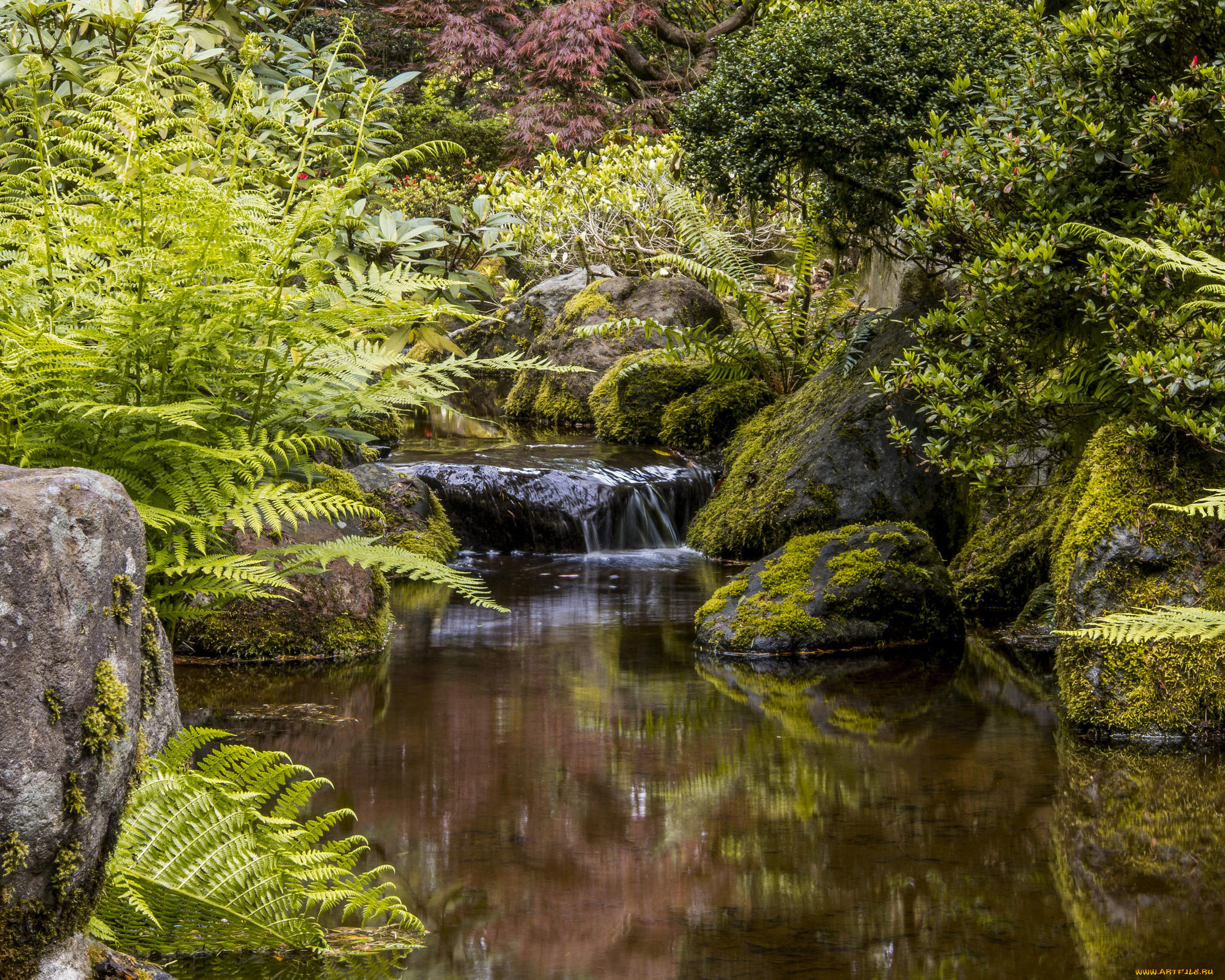 , , portland, japanese, garden, , , , , 